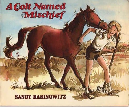 Book cover for A Colt Named Mischief by Sandy Rabinowitz