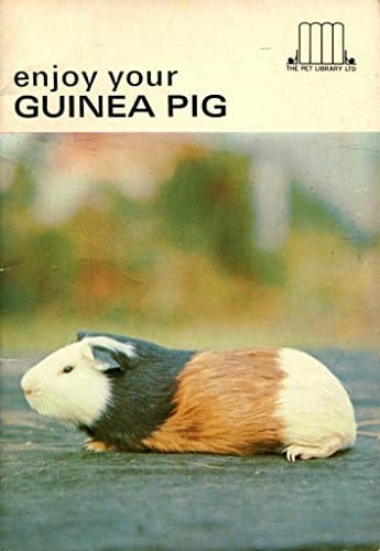 Book cover for enjoy Your Guinea Pig by schneider, Earl